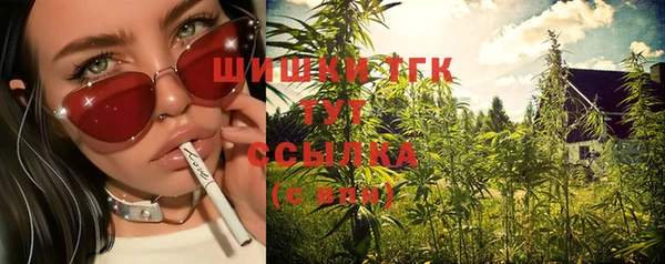 гидропоника Белокуриха