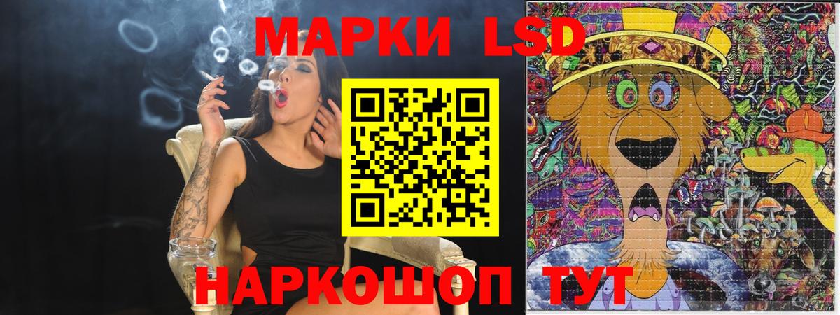 Галлюциногенные грибы Дагестанские Огни