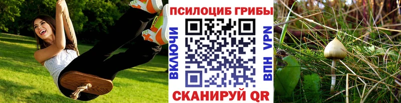 Галлюциногенные грибы Psilocybe  сколько стоит  Дагестанские Огни 