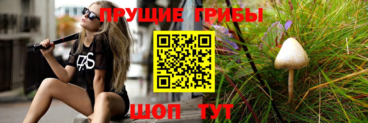 Псилоцибиновые грибы Cubensis  Дагестанские Огни 