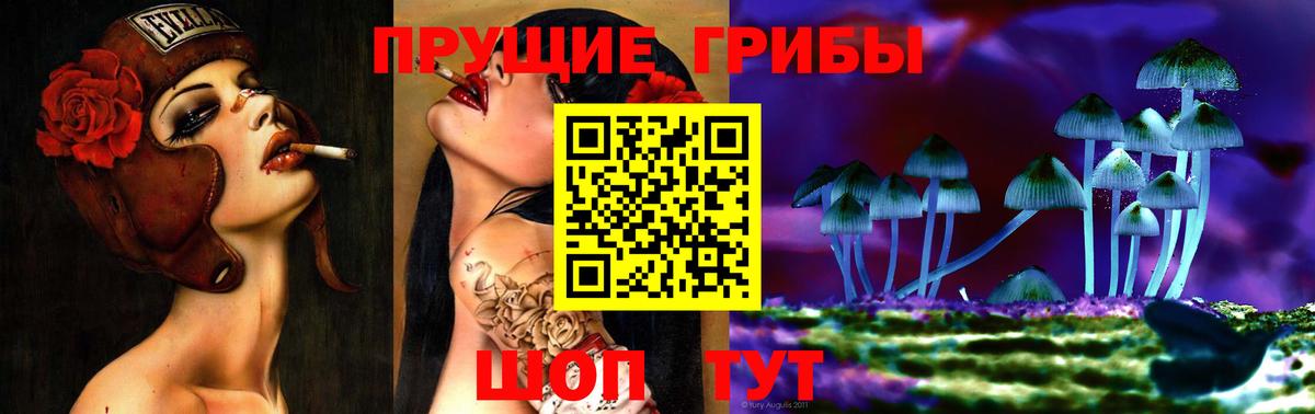 Псилоцибиновые грибы ЛСД  наркотики  Дагестанские Огни  Вход с VPN  Псилоцибиновые грибы Psilocybe 